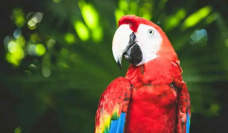 InglaterraGalesLondres