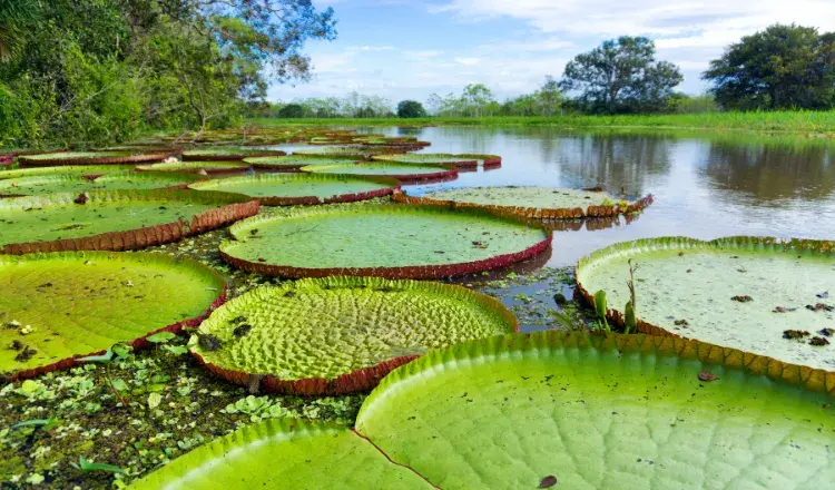 InglaterraGalesLondres