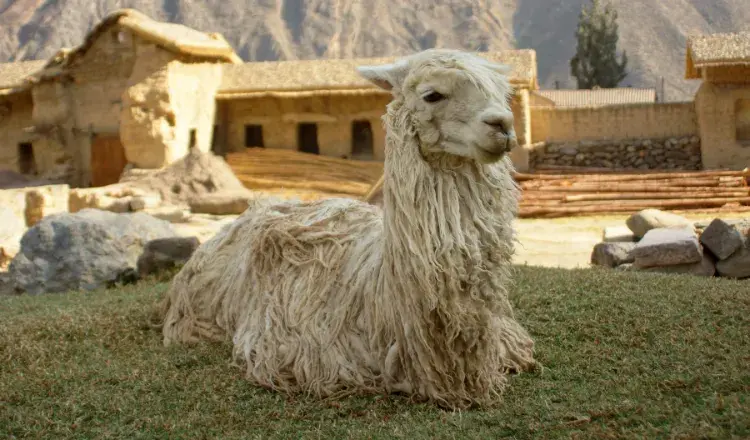 InglaterraGalesLondres