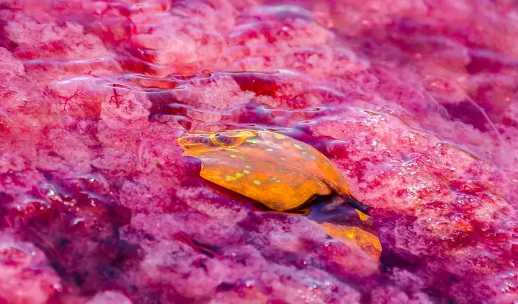 InglaterraGalesLondres