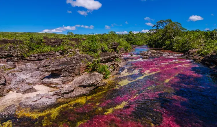 InglaterraGalesLondres