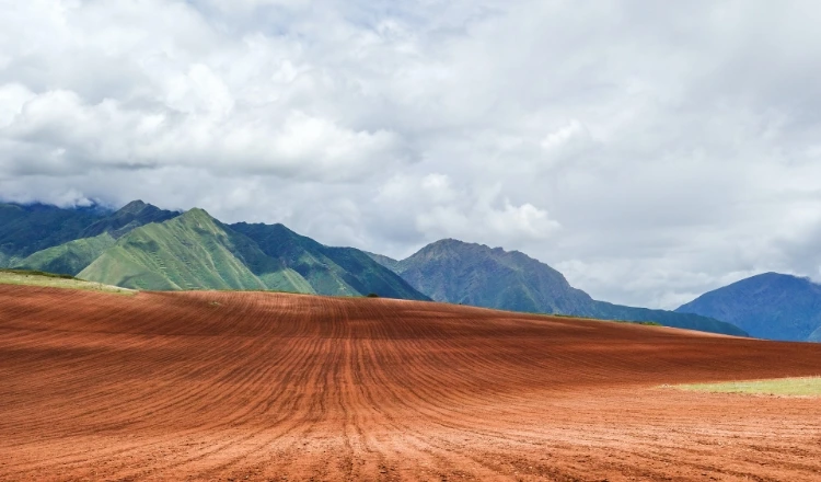 Guajira